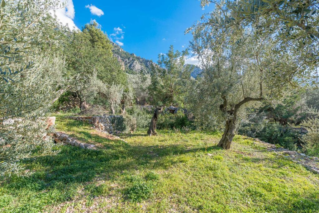 S'Olivaret Fornalutx Exteriér fotografie